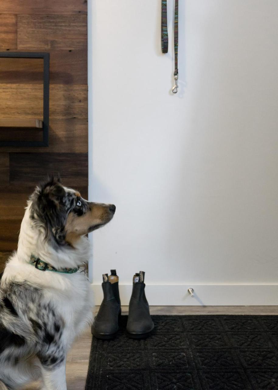 Tiny Homes By Snow Valley Lodging Fernie Eksteriør bilde